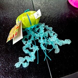 This is a Wild and Wonderful Jellyfish